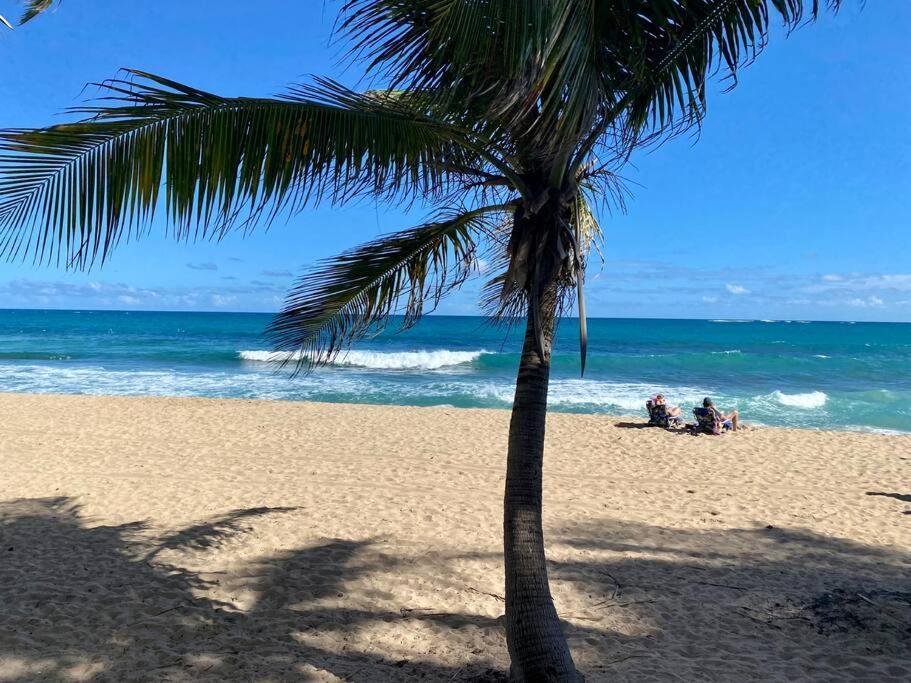 Condado Del Mar Beach Front Jewel A3 산후안 외부 사진