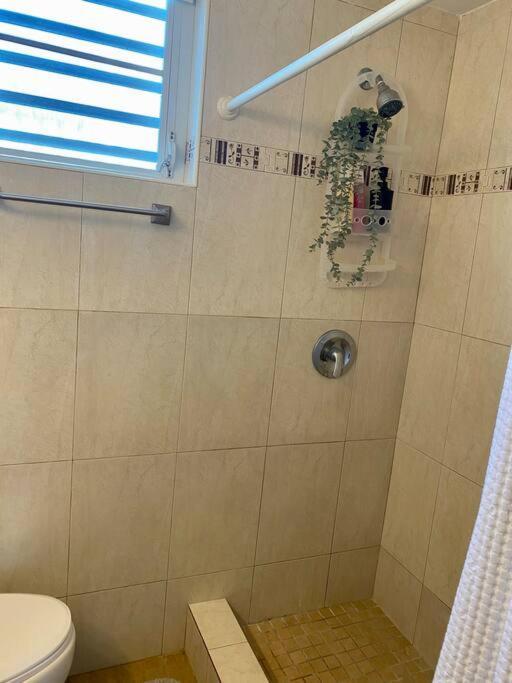 Condado Del Mar Beach Front Jewel A3 산후안 외부 사진